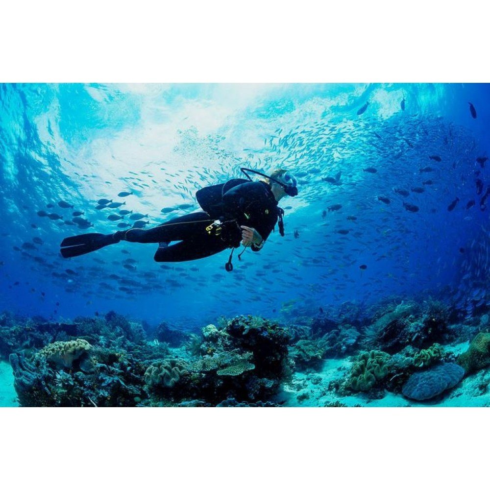 Tarkarli Scuba Diving