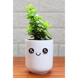 Rolling Nature Good Luck Jade Plant in Happy Emoji White Ceramic Pot 